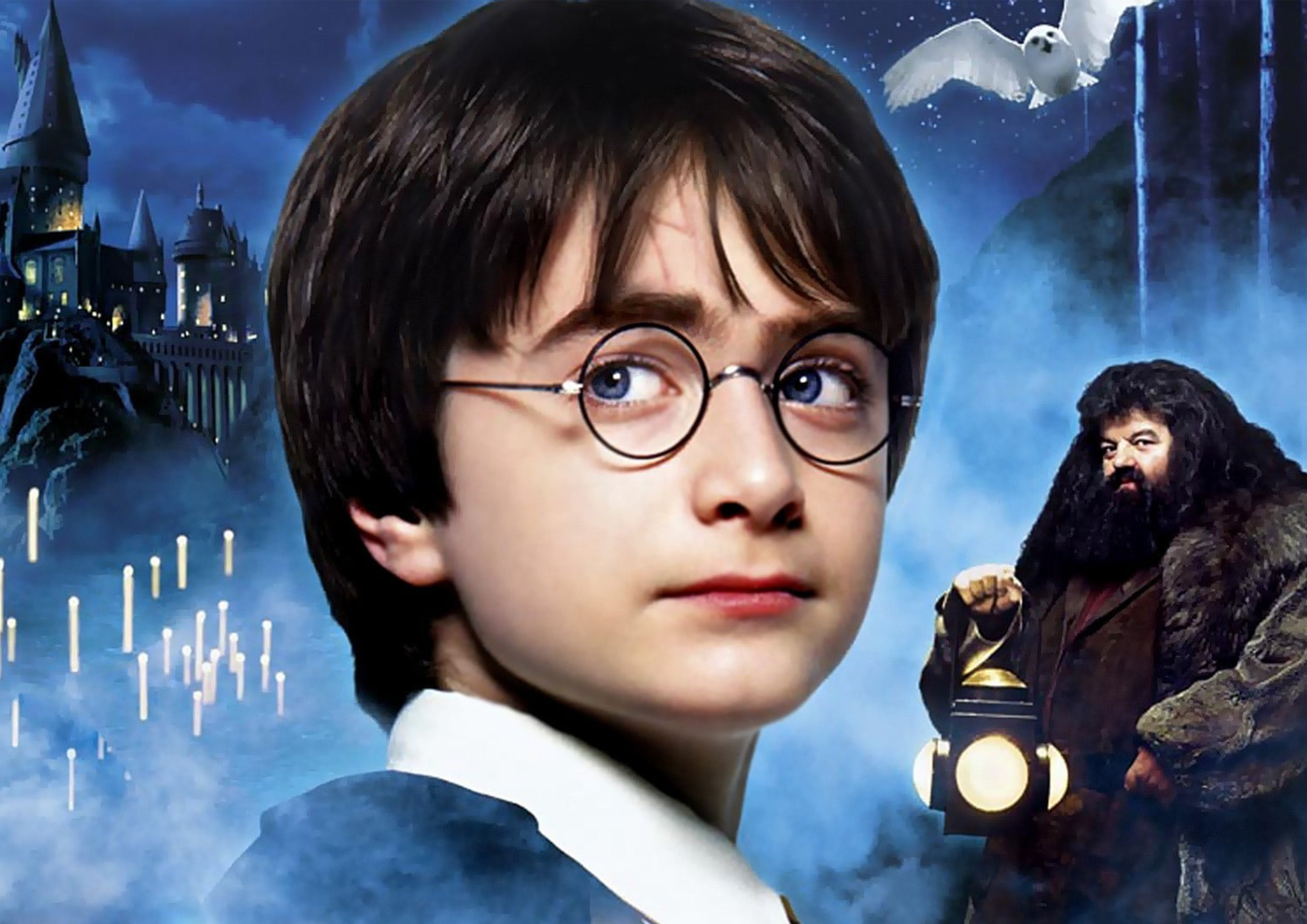HarryPotter1 Toppers Drinktoppers 6 stk Ø8 cm